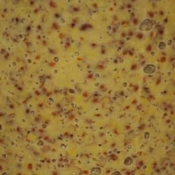 Old-fashioned mustard with Honey - Online French delicatessen
