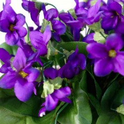 Sciroppo di violetta - Gastronomia francese online