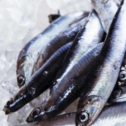 vreugde van anchoïade - Franse delicatessen online