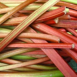 Rhubarb jam - Online French delicatessen