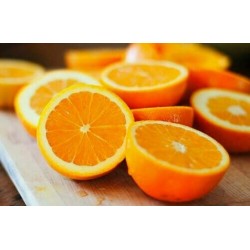 Confiture d'Oranges - épicerie fine en ligne