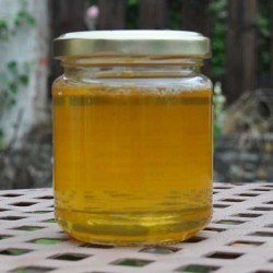 Miel d'acacia - épicerie fine en ligne